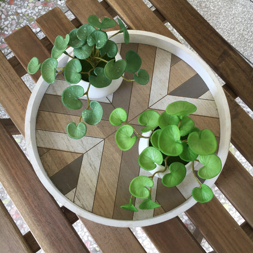 pennywort indoor plant Bulk 6" Pennywort Stem Lucky Hydrocotyle vulgaris Greenery Plant Drop- — Artificialmerch