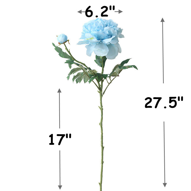 Bulk 27" 2 Heads Peony Stems Spray with Bud Wholesale