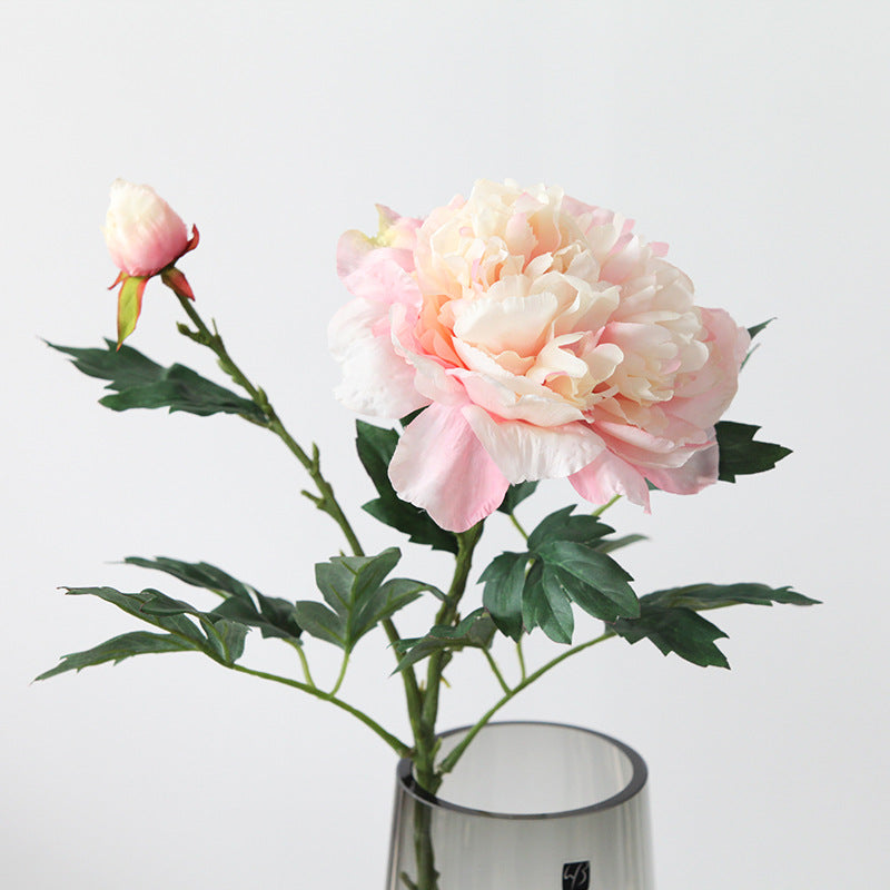 Bulk 27" 2 Heads Peony Stems Spray with Bud Wholesale