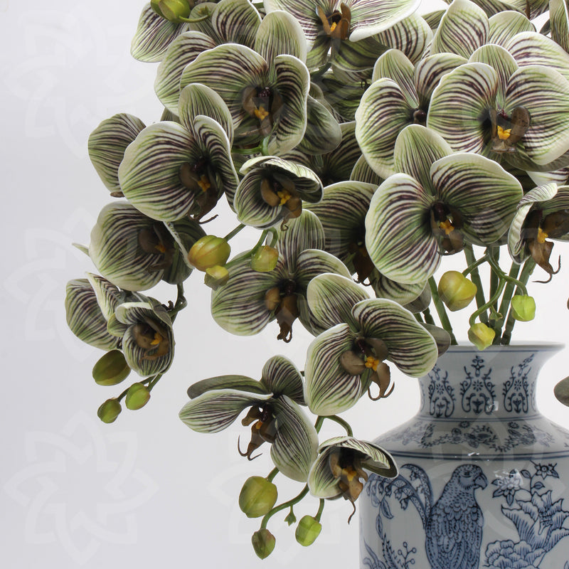 Tiges d'orchidées papillon Phalaenopsis rétro avancées de 27 pouces en vrac Fleurs au toucher réel Vente en gros