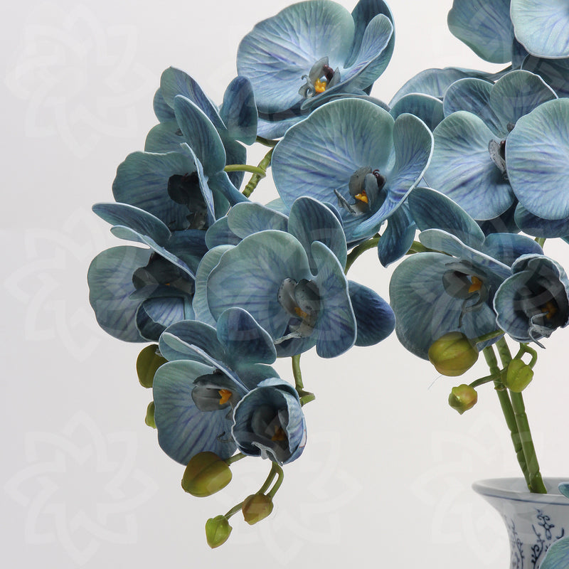 Tiges d'orchidées papillon Phalaenopsis rétro avancées de 27 pouces en vrac Fleurs au toucher réel Vente en gros