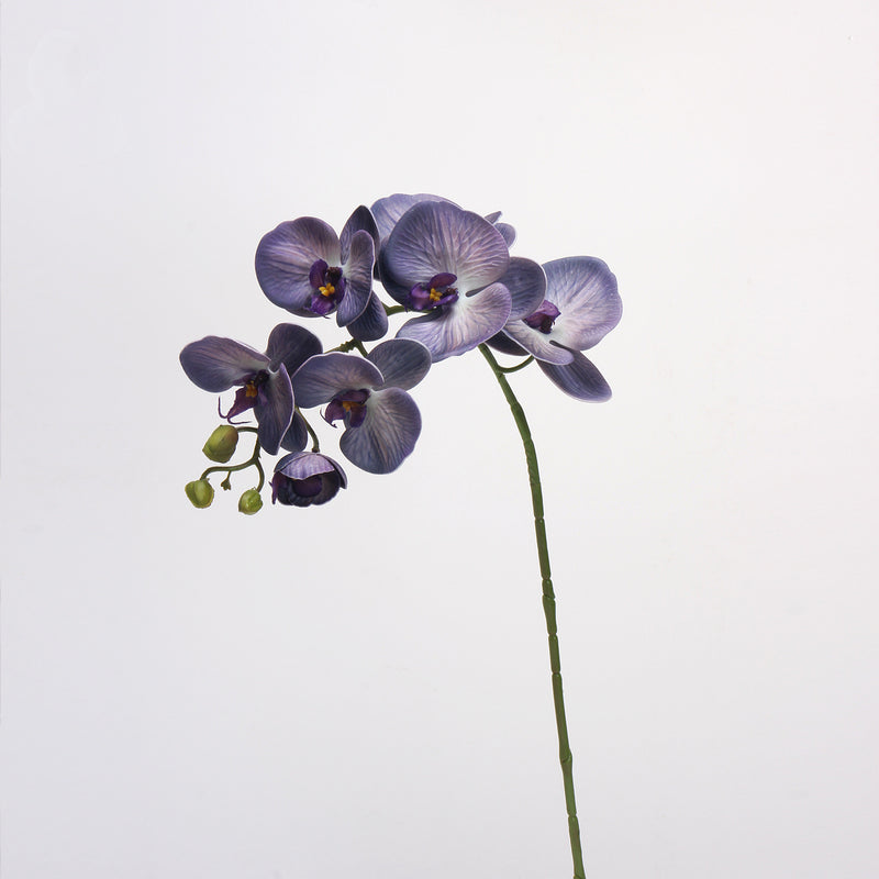 Tiges d'orchidées papillon Phalaenopsis rétro avancées de 27 pouces en vrac Fleurs au toucher réel Vente en gros