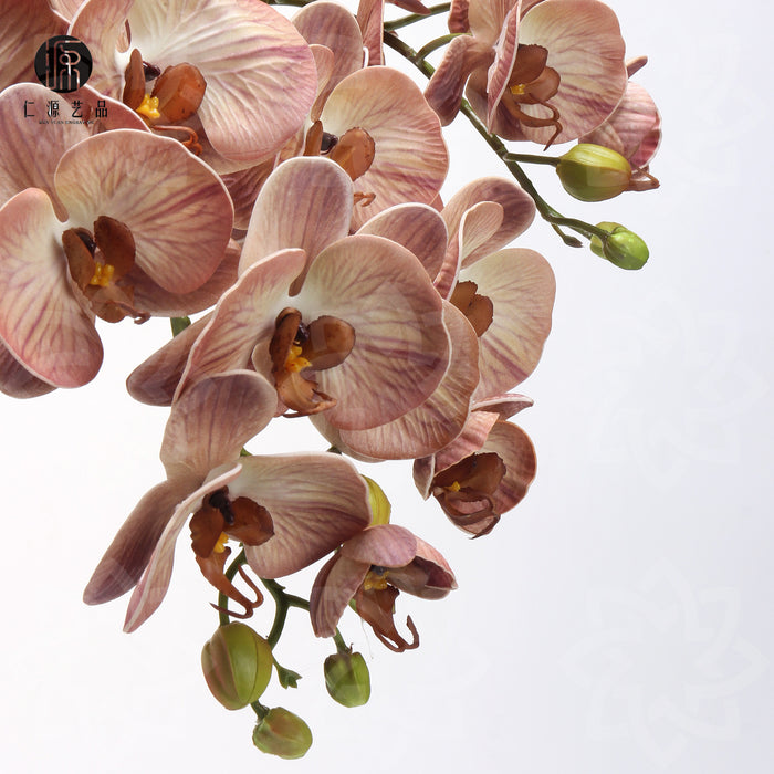 Bulk 27" Advanced Retro Phalaenopsis Moth Orchids Stems Real Touch Flowers Wholesale