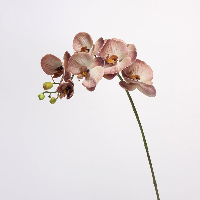 Bulk 27" Advanced Retro Phalaenopsis Moth Orchids Stems Real Touch Flowers Wholesale