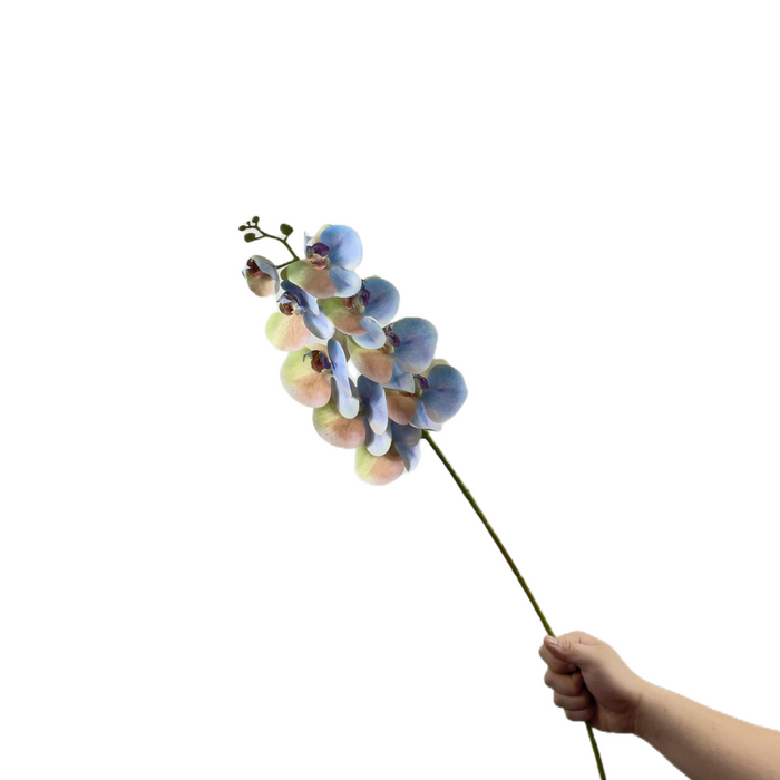 Bulk Exclusive Gradient Plastic Orchids Stem Phalaenopsis Flowers Artificial Wholesale