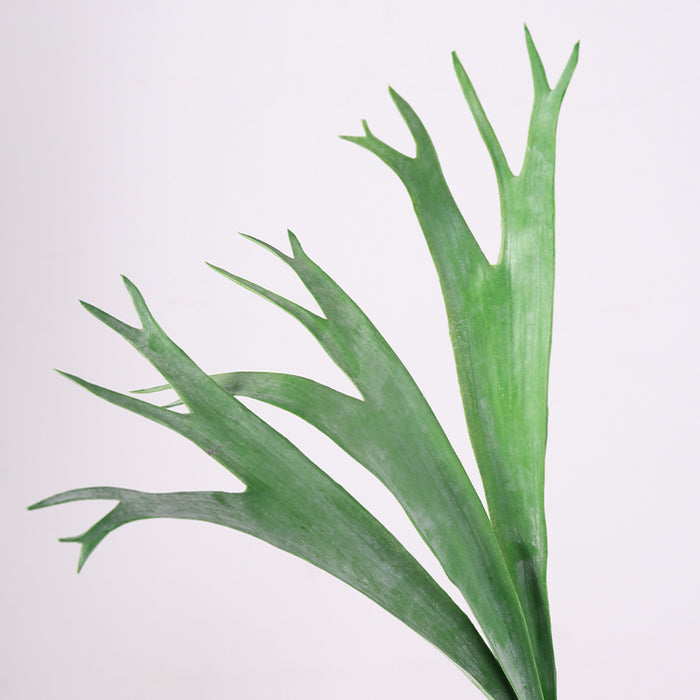 Bulk 17" Platycerium Stem Real Touch Faux Plant Wholesale