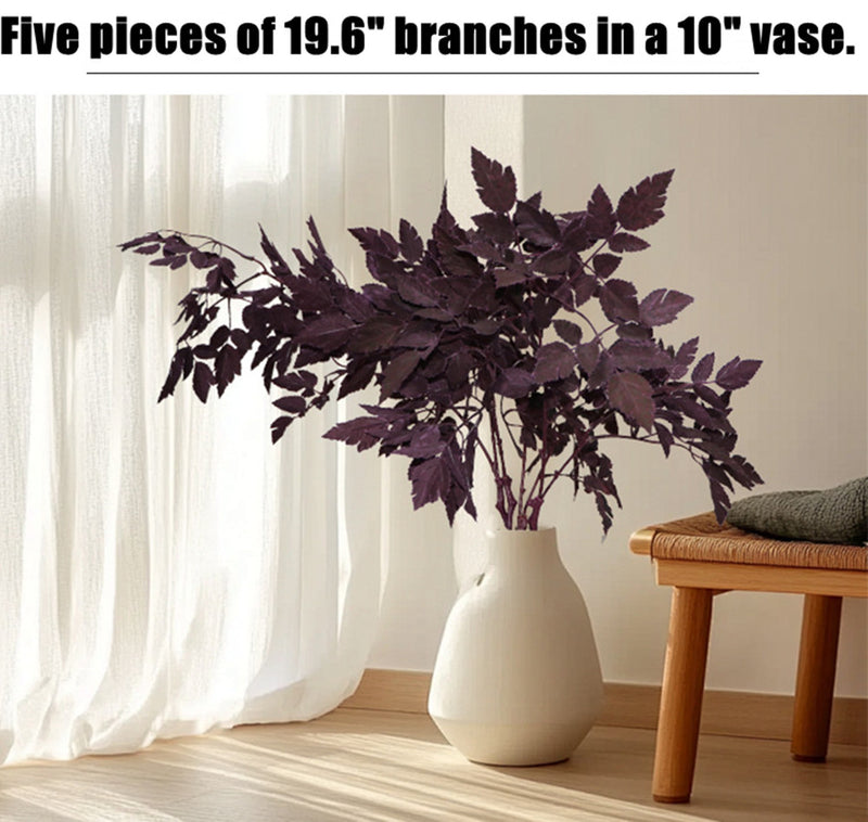 Bulk Plum Cimicifuga Ramosa Leaves Branches Botanical Spray Wholesale