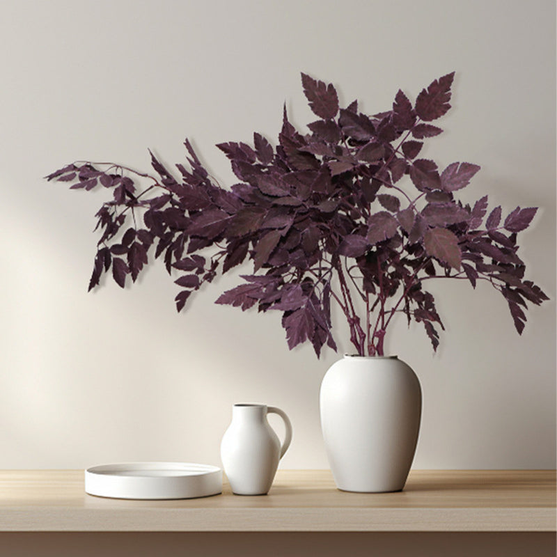 Bulk Plum Cimicifuga Ramosa Leaves Branches Botanical Spray Wholesale