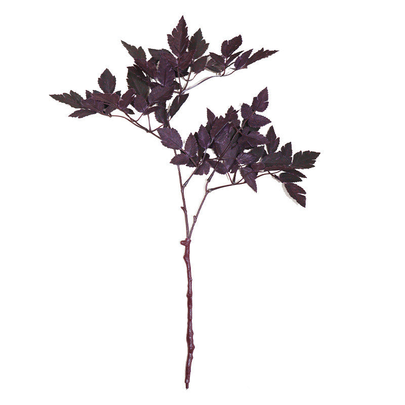 Bulk Plum Cimicifuga Ramosa Leaves Branches Botanical Spray Wholesale