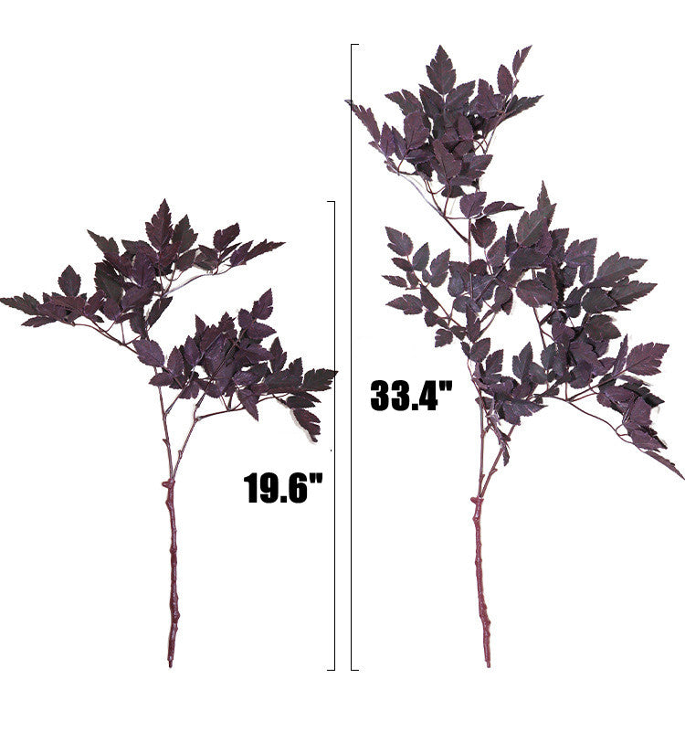 Bulk Plum Cimicifuga Ramosa Leaves Branches Botanical Spray Wholesale