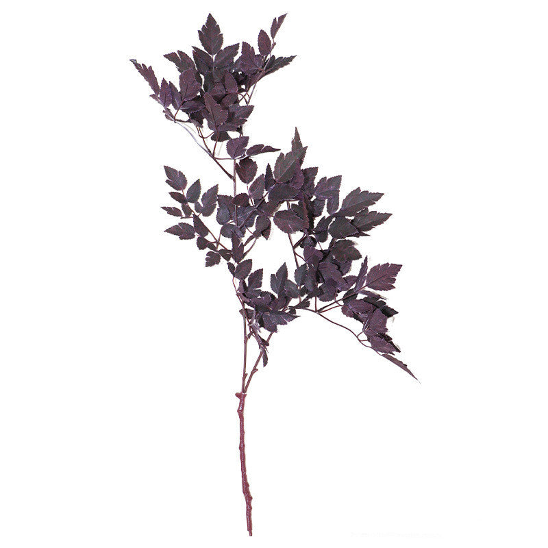 Bulk Plum Cimicifuga Ramosa Leaves Branches Botanical Spray Wholesale