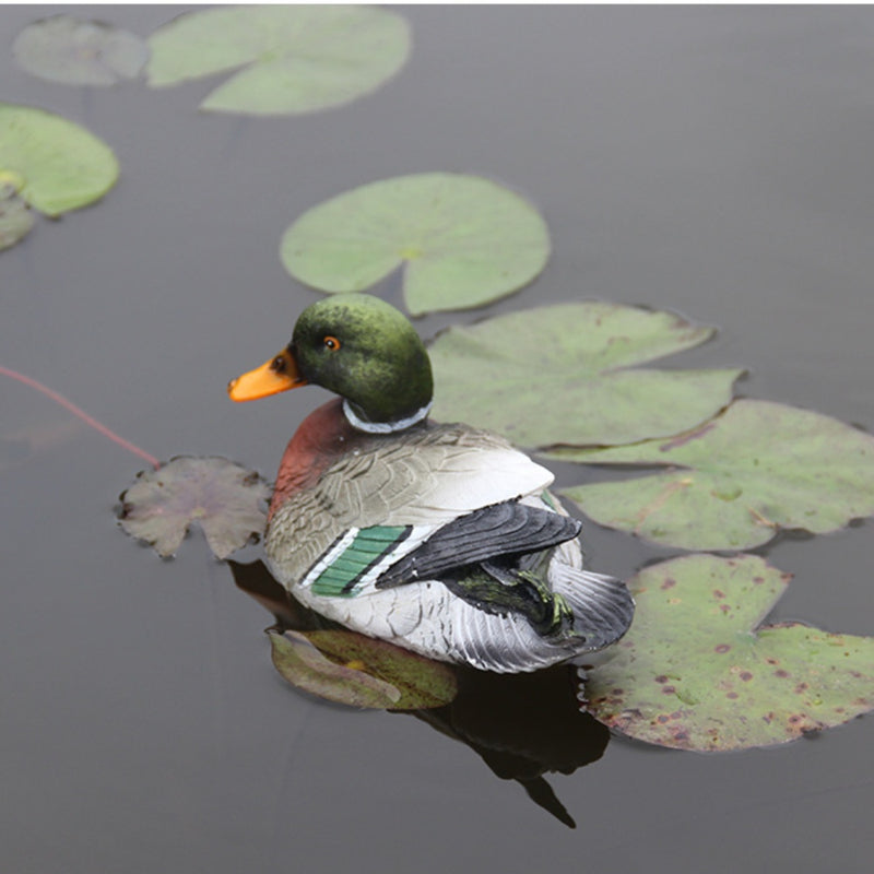 Bulk Artificial Animals Floating Lovebirds Duck for Pool Wholesale