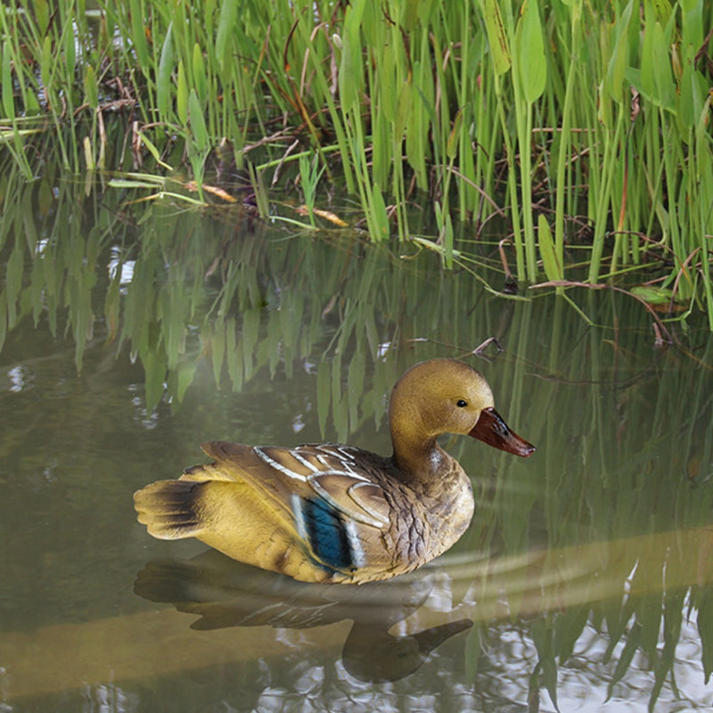 Bulk Artificial Animals Floating Lovebirds Duck for Pool Wholesale