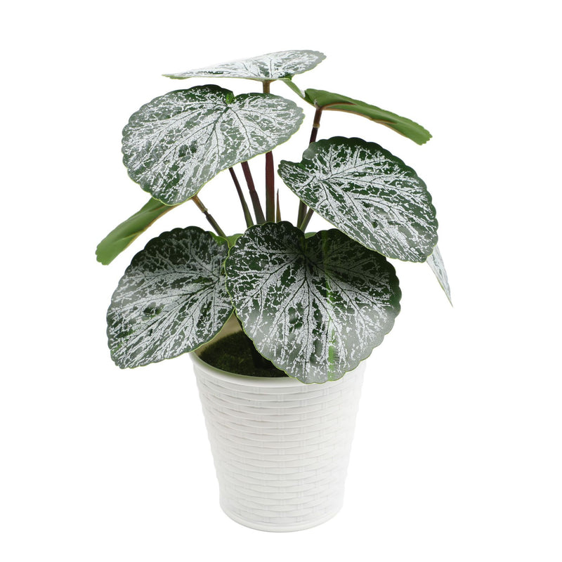 Bulk 10" Potted Plant Palm Real Touch Leaves Plants Bonsai for for Home Living Room Office Indoor Outdoor Wholesale