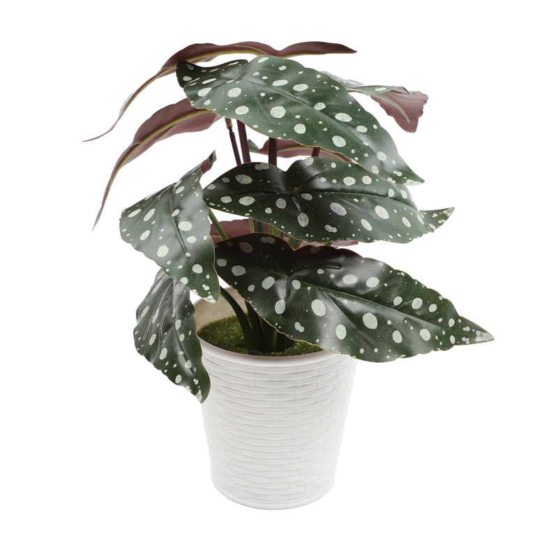 Bulk 10" Potted Plant Palm Real Touch Leaves Plants Bonsai for for Home Living Room Office Indoor Outdoor Wholesale