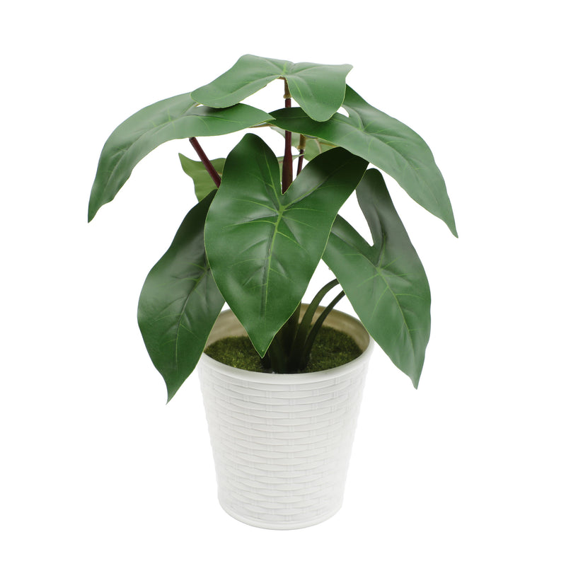 Bulk 10" Potted Plant Palm Real Touch Leaves Plants Bonsai for for Home Living Room Office Indoor Outdoor Wholesale