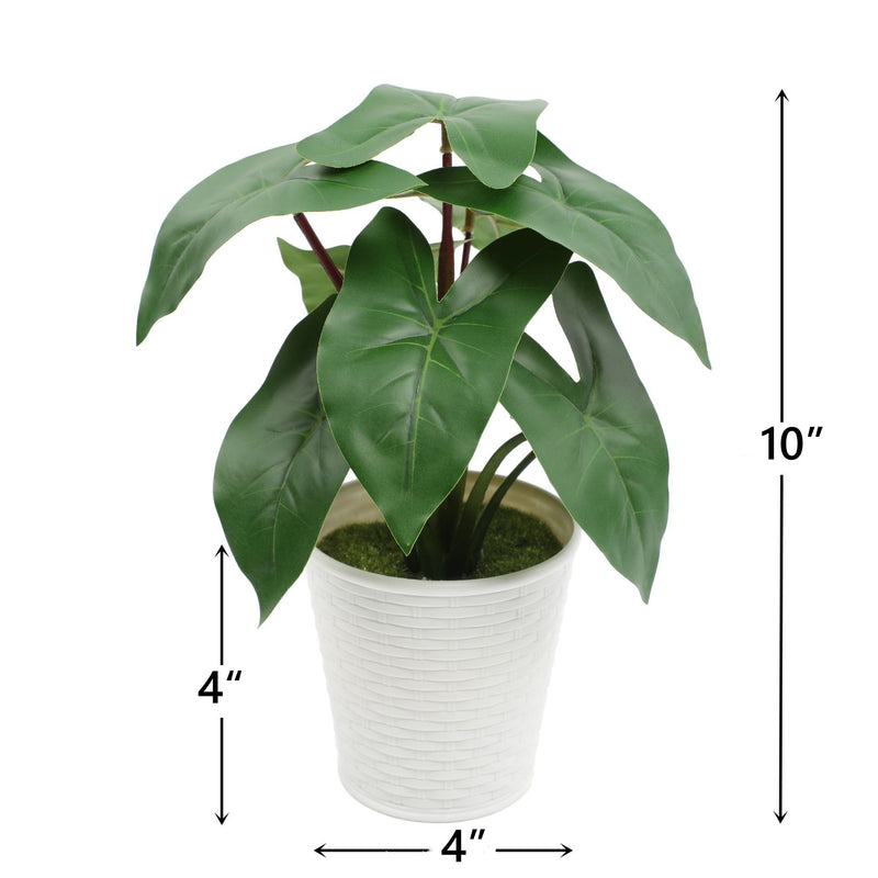 Bulk 10" Potted Plant Palm Real Touch Leaves Plants Bonsai for for Home Living Room Office Indoor Outdoor Wholesale