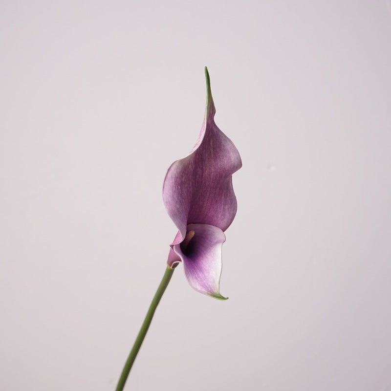 Tige de lys calla double de qualité supérieure Real Touch