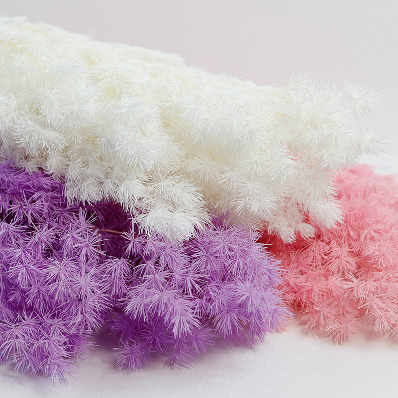 Bulk Dried Greeting Pines Asparagus for Crafts DIY Wholesale