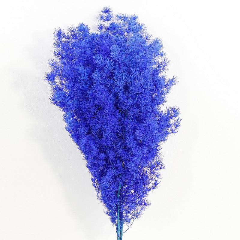 Bulk Dried Greeting Pines Asparagus for Crafts DIY Wholesale