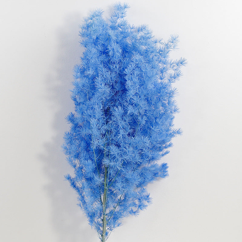 Bulk Dried Greeting Pines Asparagus for Crafts DIY Wholesale