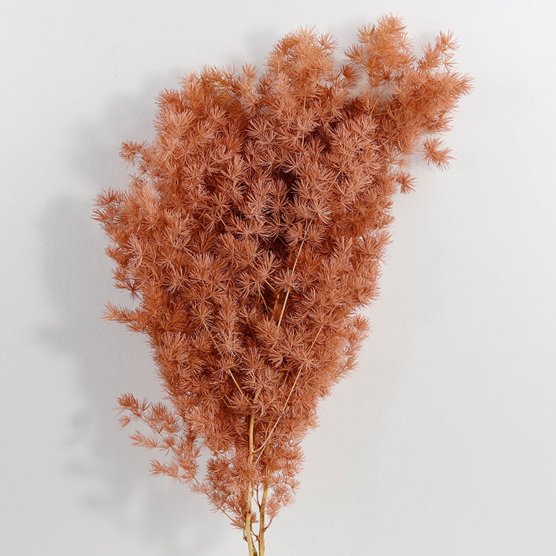 Bulk Dried Greeting Pines Asparagus for Crafts DIY Wholesale