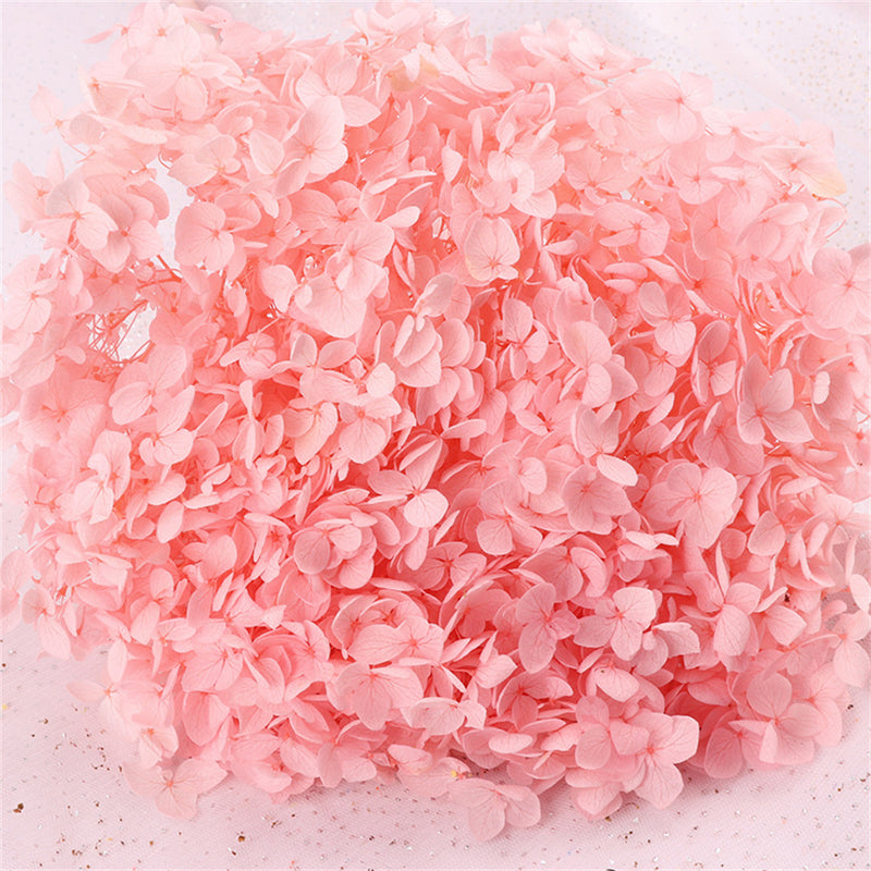 Bulk Preserved Large Hydrangea for Crafts Flowers Arrangements Wholesale