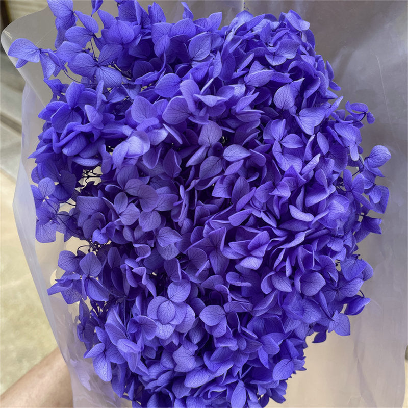 Bulk Preserved Large Hydrangea for Crafts Flowers Arrangements Wholesale