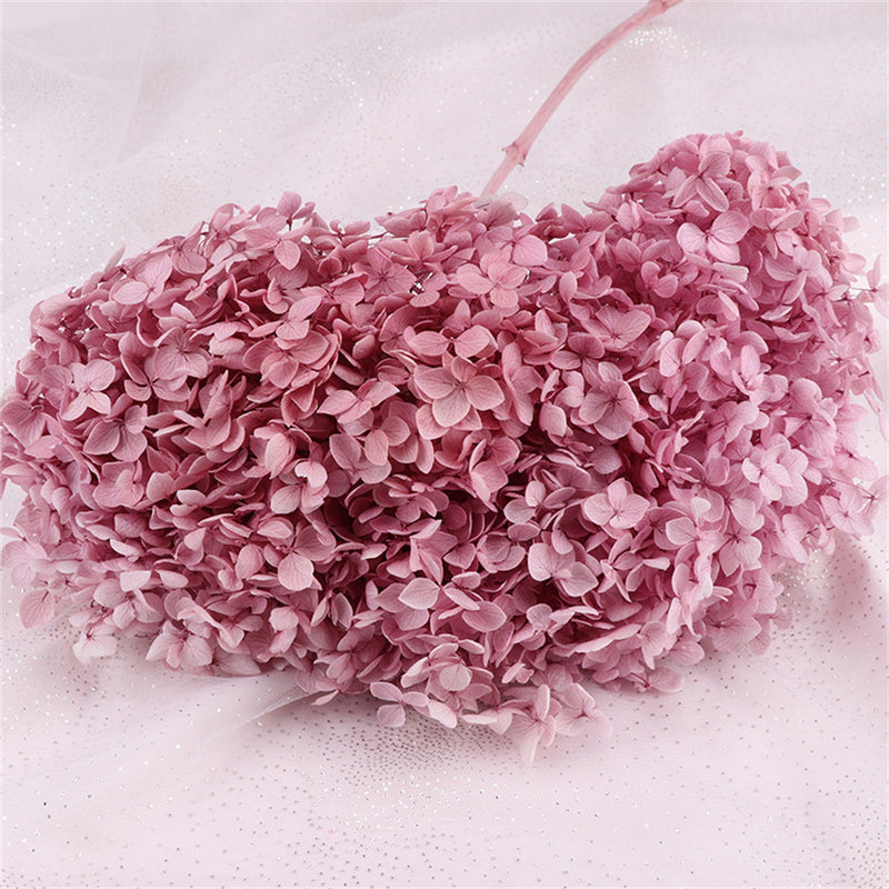 Bulk Preserved Large Hydrangea for Crafts Flowers Arrangements Wholesale