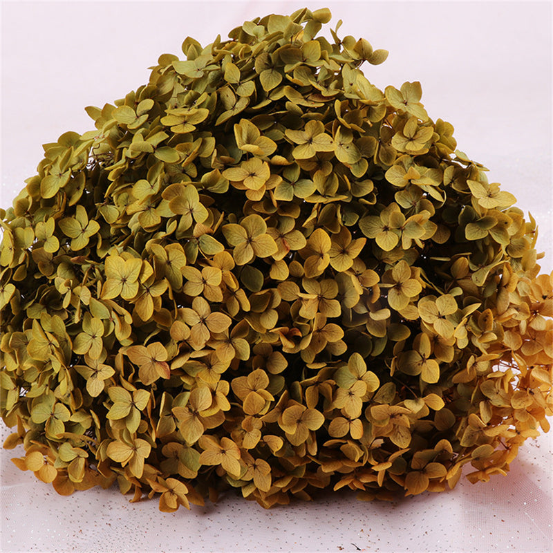 Bulk Preserved Large Hydrangea for Crafts Flowers Arrangements Wholesale