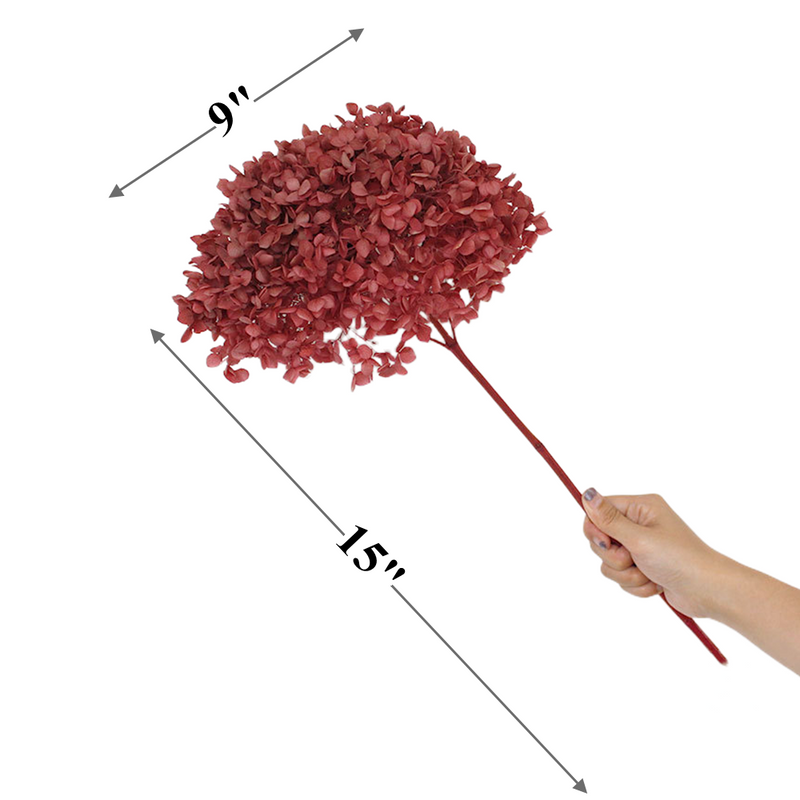 Bulk Preserved Large Hydrangea for Crafts Flowers Arrangements Wholesale