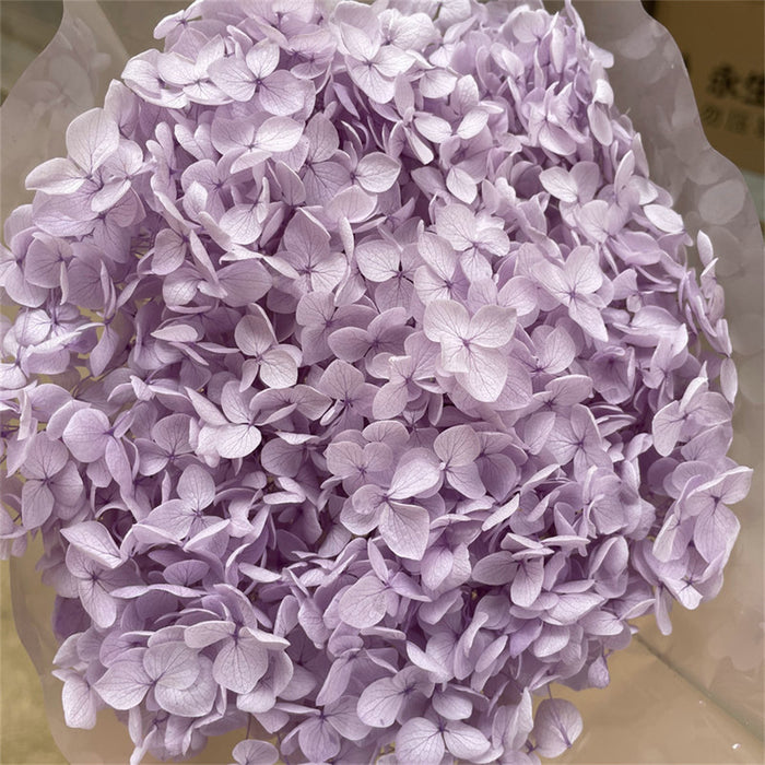 Hortensia grande preservada a granel para arreglos florales artesanales al por mayor 