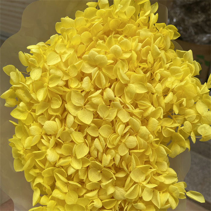Hortensia grande preservada a granel para arreglos florales artesanales al por mayor 
