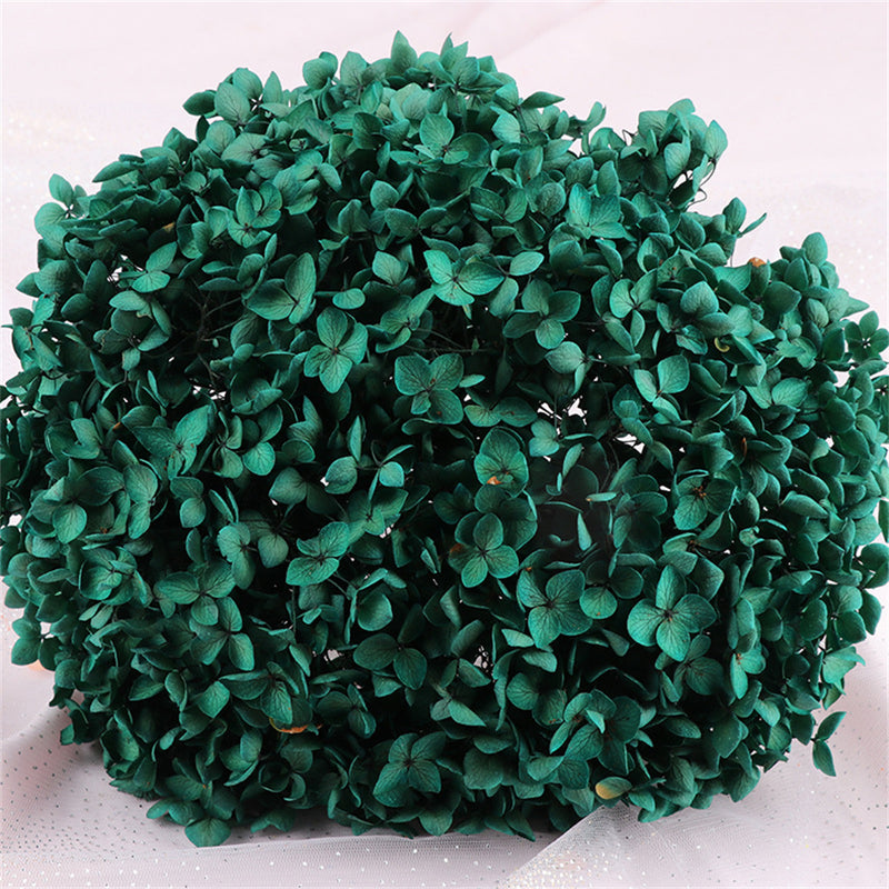 Bulk Preserved Large Hydrangea for Crafts Flowers Arrangements Wholesale
