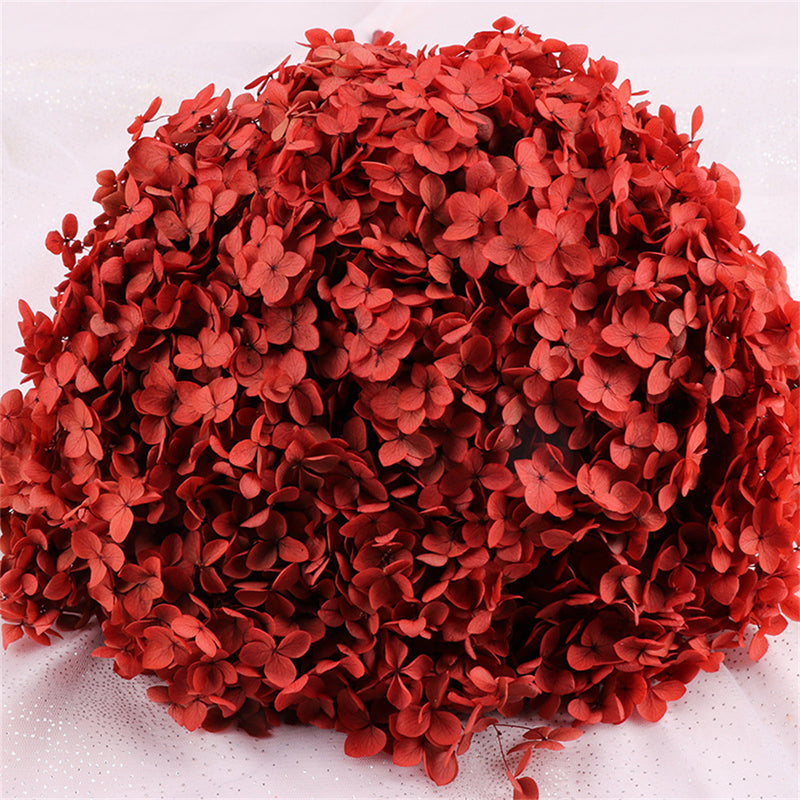 Bulk Preserved Large Hydrangea for Crafts Flowers Arrangements Wholesale
