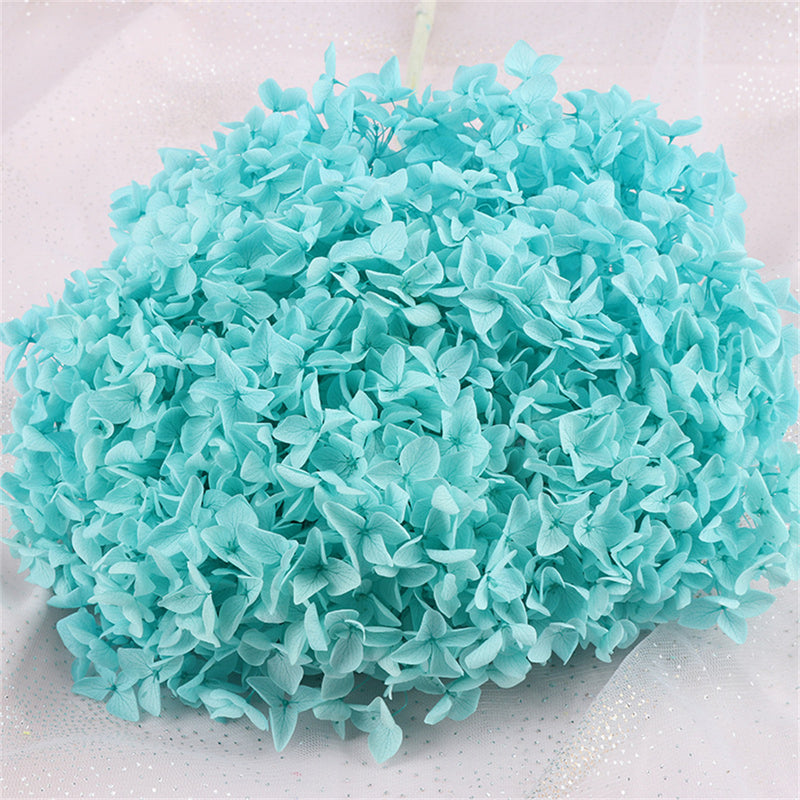 Bulk Preserved Large Hydrangea for Crafts Flowers Arrangements Wholesale