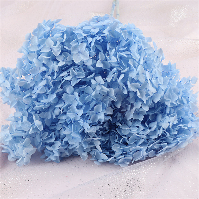 Bulk Preserved Large Hydrangea for Crafts Flowers Arrangements Wholesale