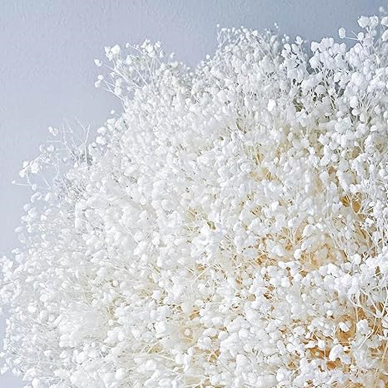 Lot de 1 bouquet de fleurs de gypsophile séchées pour mariage, arrangement floral, décoration de fête à domicile, vente en gros