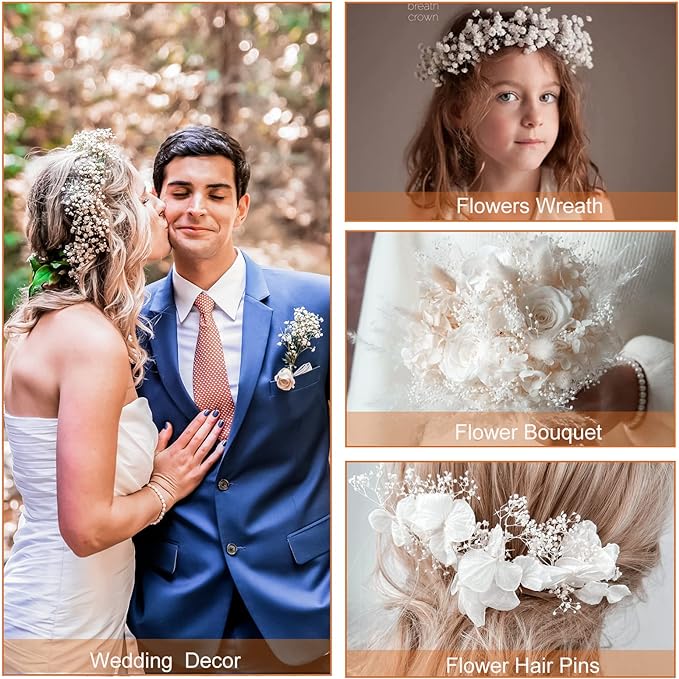 Lot de 1 bouquet de fleurs de gypsophile séchées pour mariage, arrangement floral, décoration de fête à domicile, vente en gros