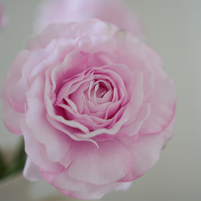 Bulk 13" Real Touch Peony Stems for Wedding DIY Bouquet & Centerpiece Wholesale