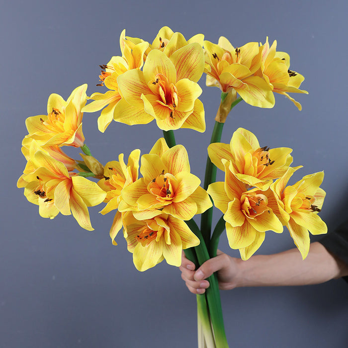 Premium Real Touch Amaryllis Stem Spring Flowers Wholesale