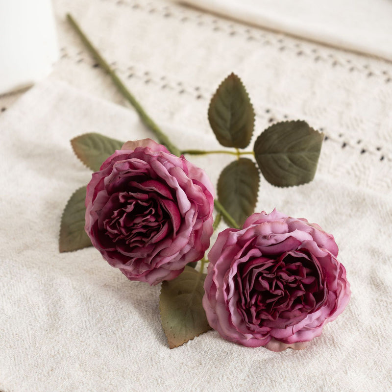 Bulk Realistic Silk Austin Roses Burnt Edge Artificial Flowers for Wedding Arch, Home Decoration, Table Arrangements, DIY Floral Projects Wholesale