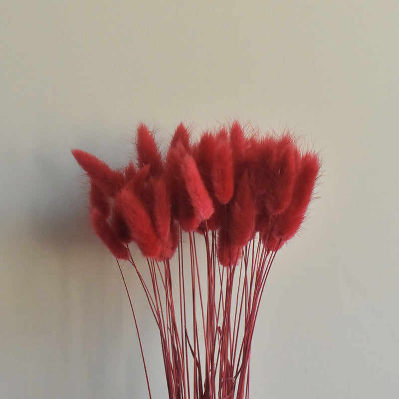 Lot de 50 queues de lapin naturelles séchées pour compositions florales, centres de table de mariage, décorations d'automne pour la maison, style bohème, baby shower, vente en gros