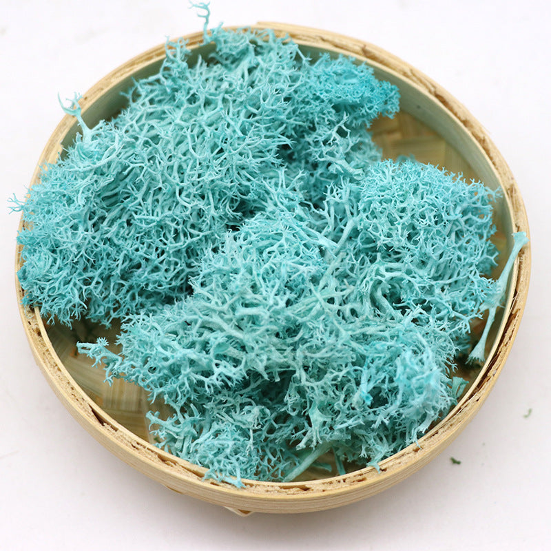 Musgo conservado a granel para manualidades, centros de mesa, jardín de hadas, decoración para fiesta de boda, venta al por mayor 