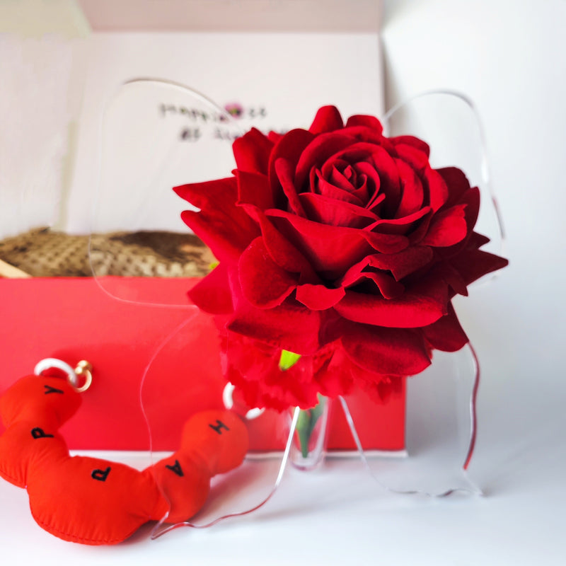 Bulk Romantic Mother's Day Gift Rose and Carnation Arrangement in Butterfly Vase for Her