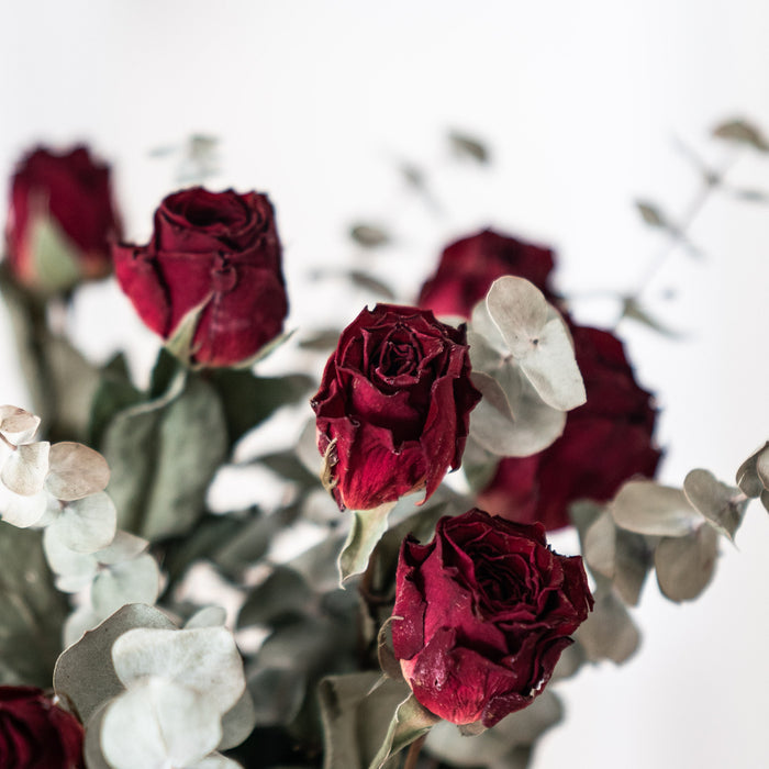 Exclusivo Arreglo de Rosas de Ramo de Flores Secas a Granel de 12” en Maceta de Cerámica al Por Mayor