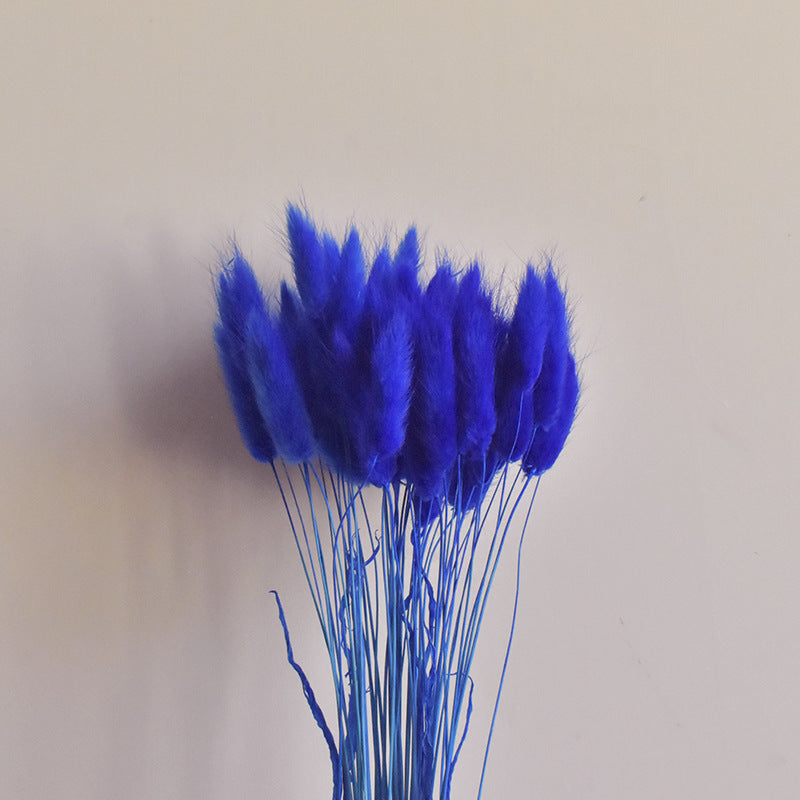 Lot de 50 queues de lapin naturelles séchées pour compositions florales, centres de table de mariage, décorations d'automne pour la maison, style bohème, baby shower, vente en gros