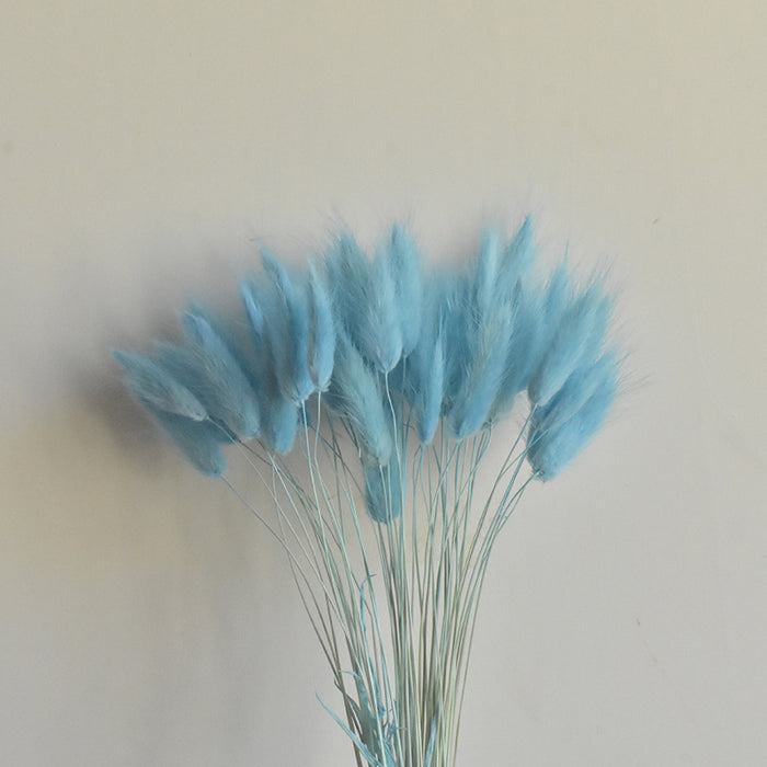 Bulk 50Pcs Natural Bunny Tails Dried Flowers for Flower Arrangements Wedding Centerpieces Home Boho Baby Shower Party Fall Decorations Wholesale
