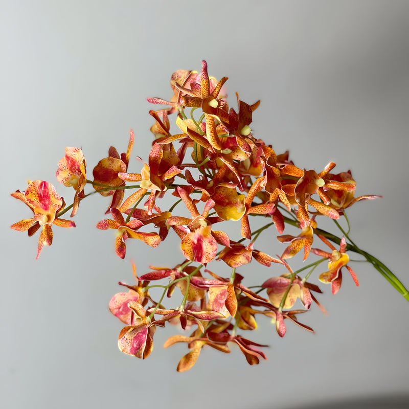 Bulk Spider Orchid Stems Branches Real Touch Spring Artificial Floral Arrangements Wholesale