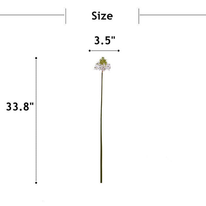 Bulk 6Pcs 33.8" Extra Long Star of Bethlehem Bouquet Ornithogalum White Floral Wholesale